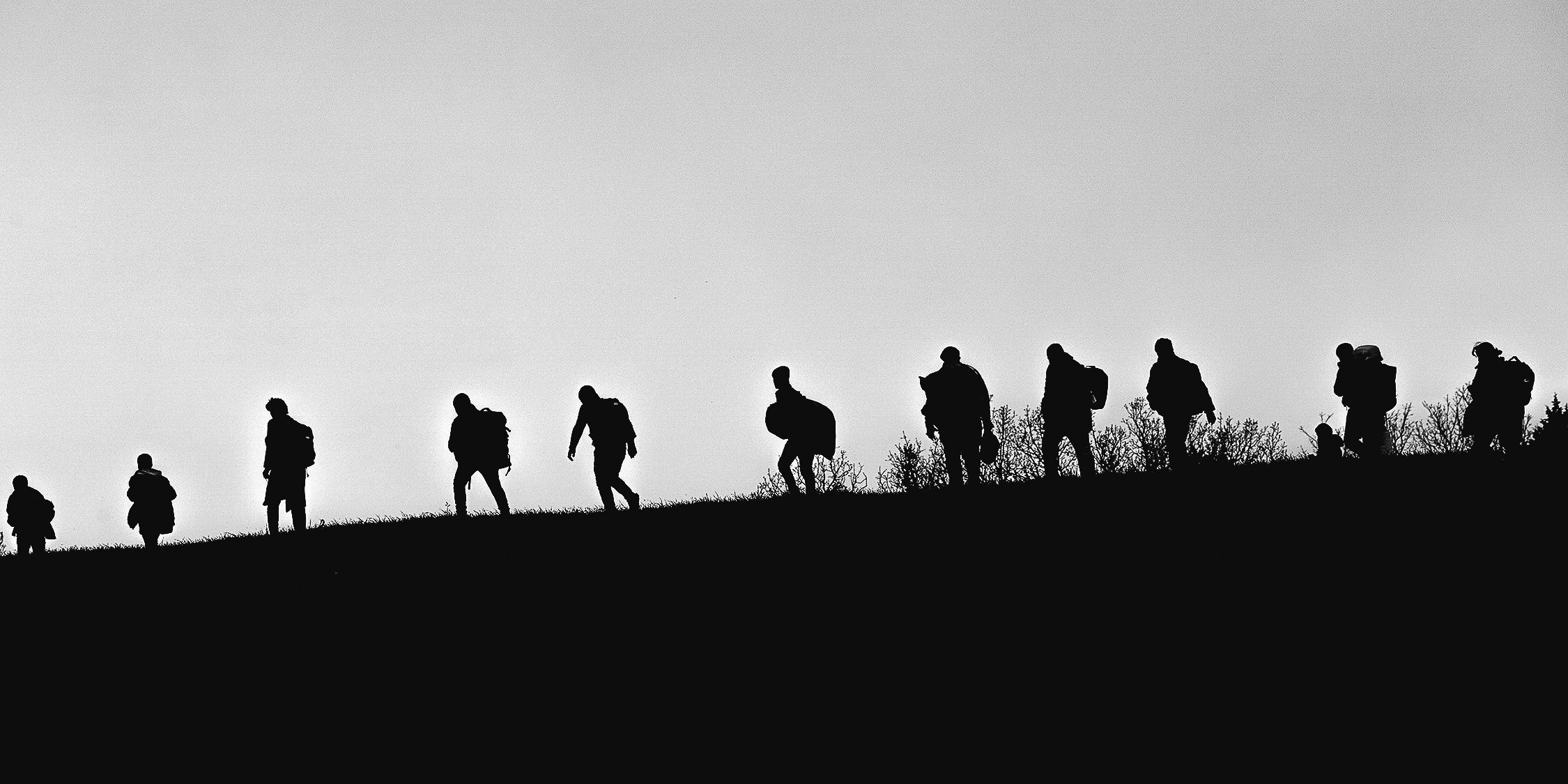 Η διακλάδωση Η διακλάδωση