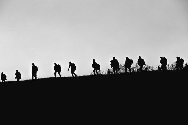 Η διακλάδωση